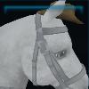Cowboy hat for the horse