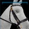 Midnight Elegance Bridle