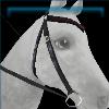 Red Statement Bridle