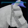 Cowboy hat for the horse