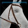 Sierra Snow Bridle