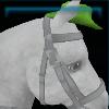 Cowboy hat for the horse