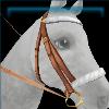 Caramel and Cream Bridle