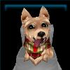 Winter Welcome Terrier