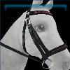 Bordeaux embroidered English bridle