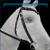 Bordeaux embroidered Western bridle