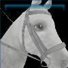 GEN_Mannequin_Bridle_01_Name