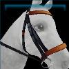 Eventing bridle