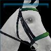 Eventing bridle