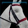 Eventing bridle