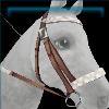 Dazzling bridle