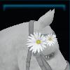 Mane flower for the horse