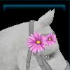 Mane flower for the horse