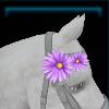 Mane flower for the horse