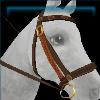 Earthen Druid bridle