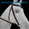 Northern Druid Bridle