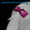 Tail ribbon