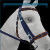 Cozy Camping Bridle