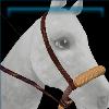 Sagebrush Brown Bosal