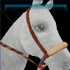Russet Range Bosal