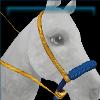 Goldfields Bosal