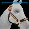 Charcoal Corral Halter