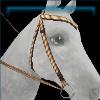 Boho Western bridle