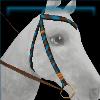 Ornate Western bridle