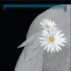 Tail ribbon
