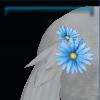 Tail ribbon