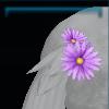 Tail ribbon