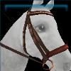 Pecan classic bridle