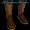 Earl's Cinnamon boots