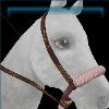 Able artisan bosal