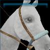 Keen craftsman bosal