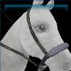 Handmade hero bosal