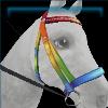 Prismatic bridle
