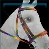 Retro Rainbows bridle