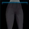 Silver Sapphire dressage breeches