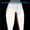 Golden Ruby dressage breeches