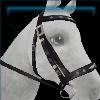 Silver Sapphire dressage bridle