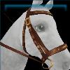 Golden Ruby dressage bridle