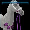 Purple Decorated Bridle