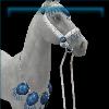 Blue Decorated Bridle