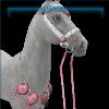 Pink Decorated Bridle