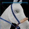 Starry Oceans bosal