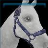 Jorvik Academy Halter