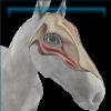 Light Warrior mask