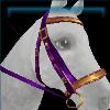 Capricious Carnival bridle