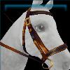 Will-o'-whiskers bridle